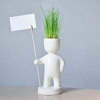 набор для выращивания eco знаменосец в Нижнем Новгороде