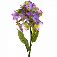 декоративное растение гортензия фиолетовая 87 см в Нижнем Новгороде