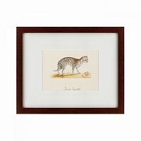картина: an ocelot, 1801 в Нижнем Новгороде