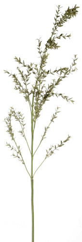 декор eucaliptis в Нижнем Новгороде