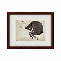 картина: signs of zodiac taurus, 1825 в Нижнем Новгороде