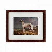 картина: portrait of a greyhound, 1744 в Нижнем Новгороде
