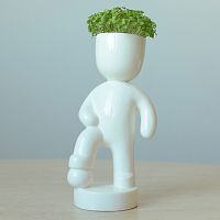 набор для выращивания eco футболист в Нижнем Новгороде