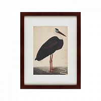 картина: black stork in a landscape, индия, 1780 в Нижнем Новгороде
