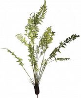 декор fern plant в Нижнем Новгороде