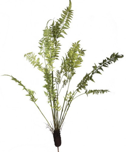 декор fern plant в Нижнем Новгороде