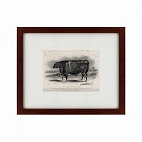 картина: a short horned steer, 1849 в Нижнем Новгороде