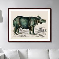 картина: rhinoceros, 1774г. в Нижнем Новгороде