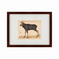 картина: moose, 1560 в Нижнем Новгороде