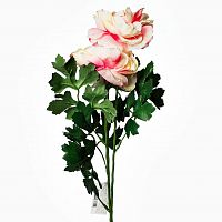 пион розовый 62 см (12) в Нижнем Новгороде