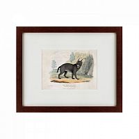 картина: a caracal or lynx, 1830 в Нижнем Новгороде