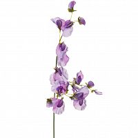 колокольчики синие 73 см (24) в Нижнем Новгороде