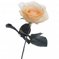 роза кремовая 48 см (36) в Нижнем Новгороде